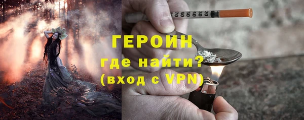 сатива Каменка