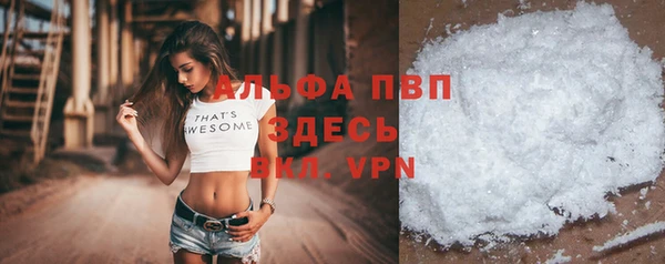 трава Карпинск