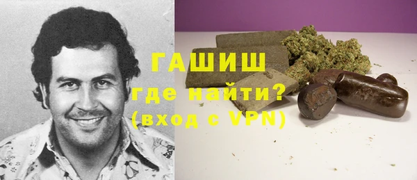 сатива Каменка