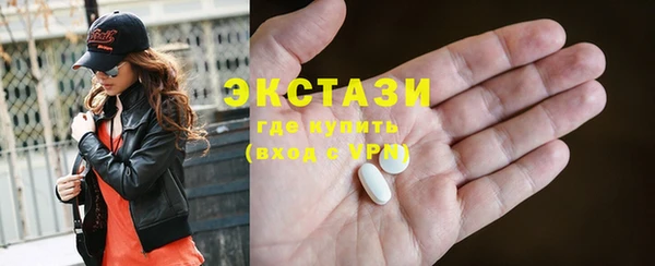 сатива Каменка