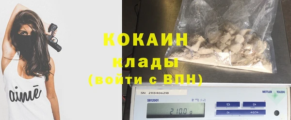 хмурый Каменногорск