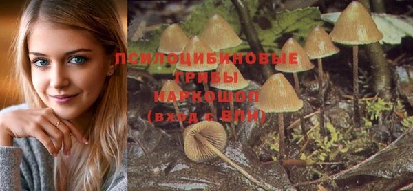 мяу мяу кристалл Инта