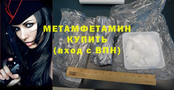сатива Каменка
