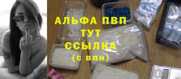 сатива Каменка