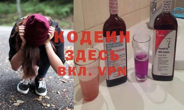 сатива Каменка