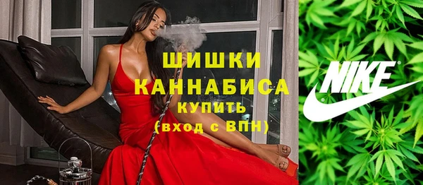 хмурый Каменногорск