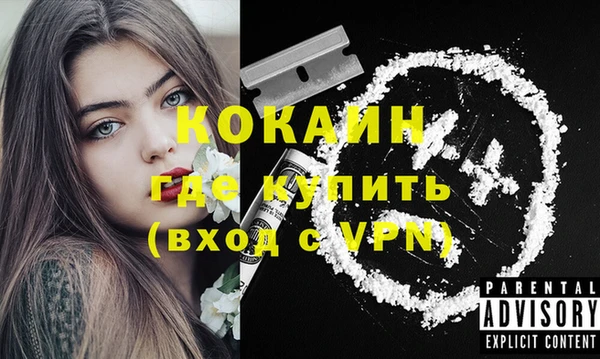 хмурый Каменногорск