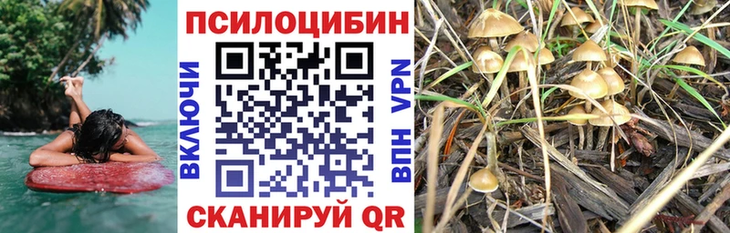 Псилоцибиновые грибы GOLDEN TEACHER  дарнет шоп  Кондрово 
