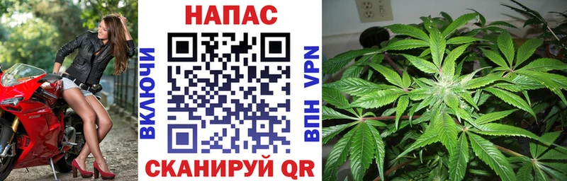 Каннабис OG Kush  наркотики  нарко площадка телеграм  Кондрово 